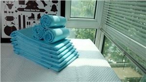 Miếng huấn luyện chó con dùng một lần