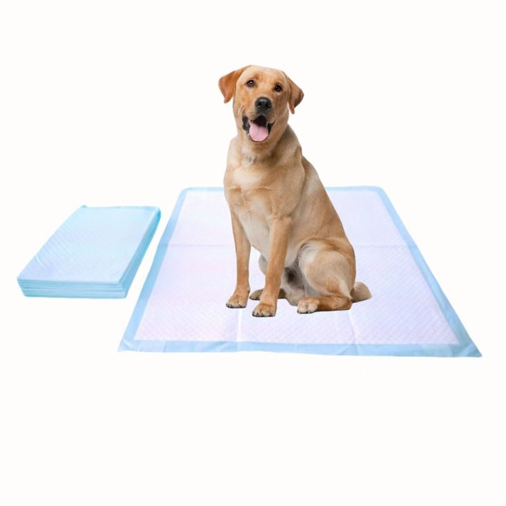 HUSHPET 600*900MM Dog Pad With Corner Strips