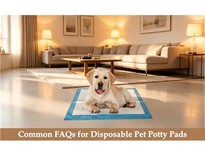Những câu hỏi thường gặp về miếng lót bô cho thú cưng dùng một lần