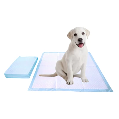 Nhai-Đệm huấn luyện bô dùng một lần chống chịu cho chó